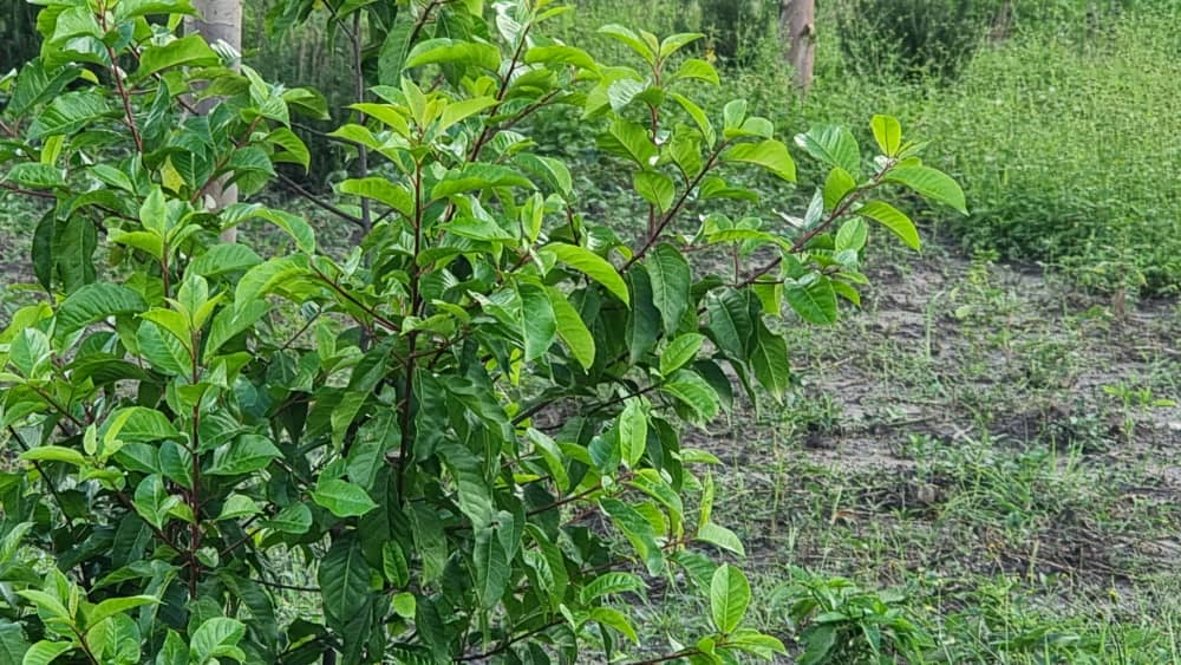 NatureUganda tweet media