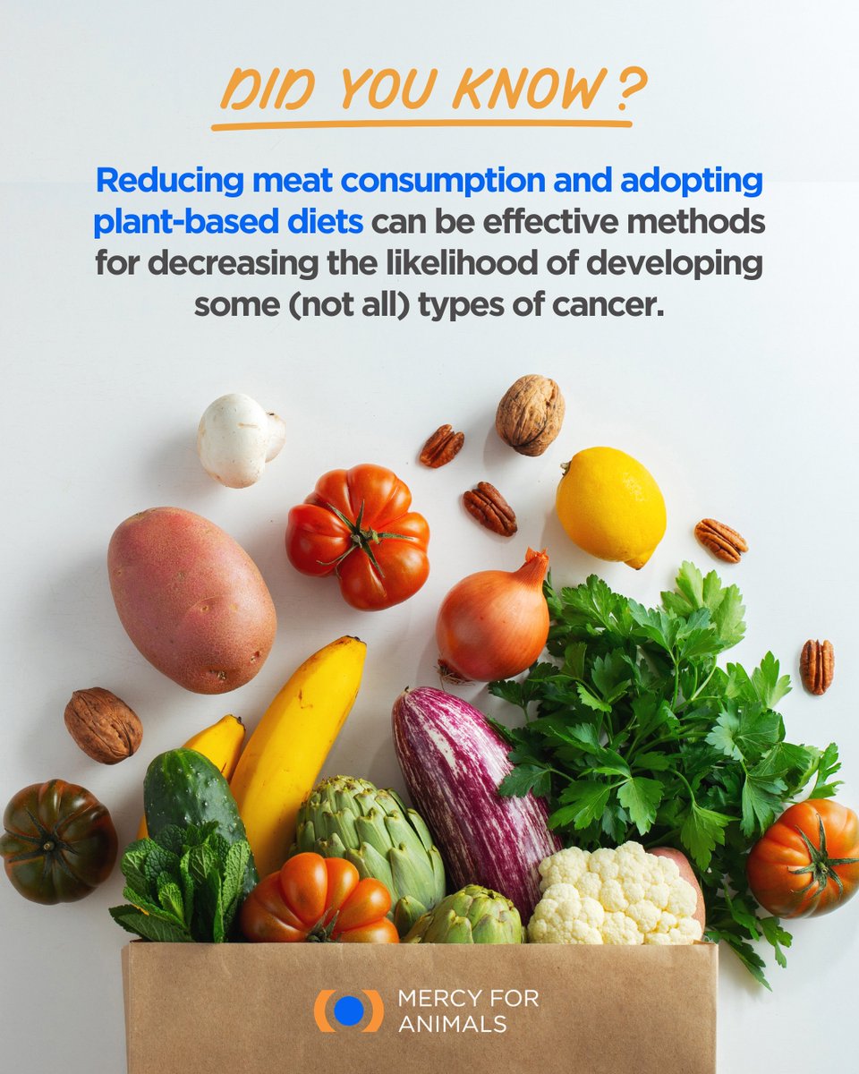 MFA_India's tweet image. A plant-based diet can help your health along with helping animals.

Download Mercy For Animals’ vegan starter guide!

mercyforanimals.in/VeganStarterGu…

#PlantBased #Vegan #HealthyFood #Cancer
