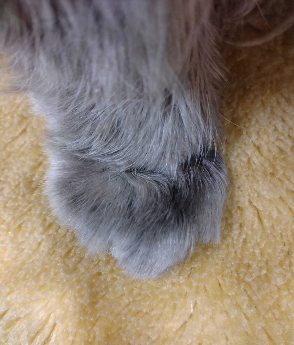 EditNet Printeq tweet media