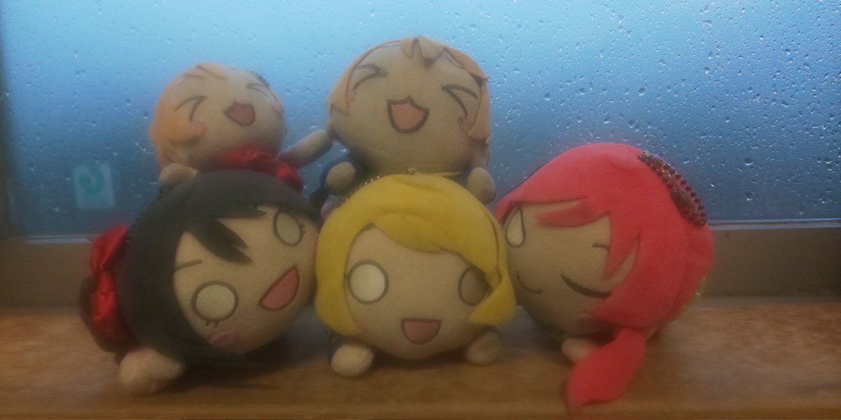 今日は火曜日最強無敵にこりんりんぱなまきにゃ＞ω＜/✨✨