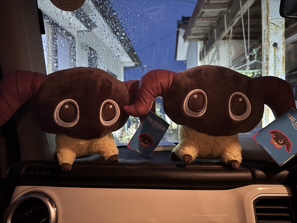 mikekizi's tweet photo. ヤーンを家でやっと飼えます！ https://t.co/0jdwMPl98Z