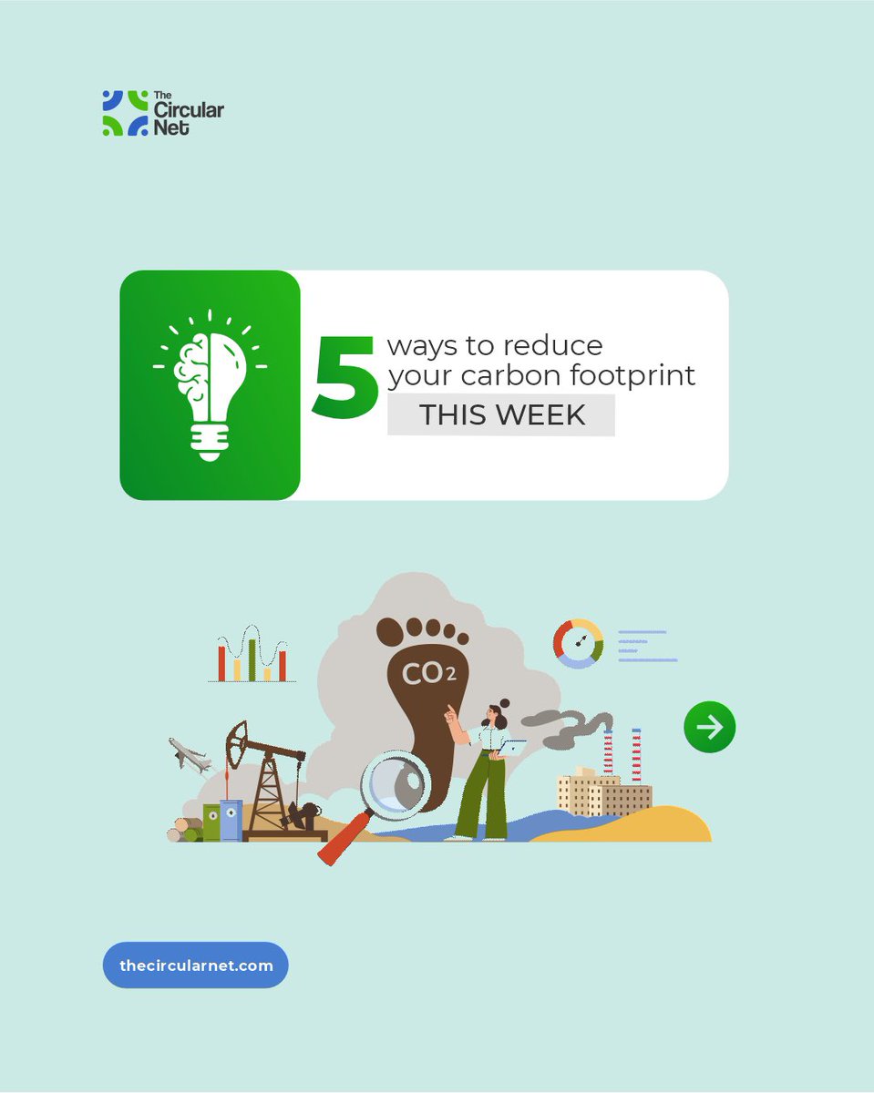 thecircularnet's tweet photo. Your lifestyle has impact. The real question is, how intentional are you about it?

Here are 5 practical ways to reduce your carbon footprint this week. Which one are you committing to?

Tell us in the comments 👇 https://t.co/W9zWAkZfat