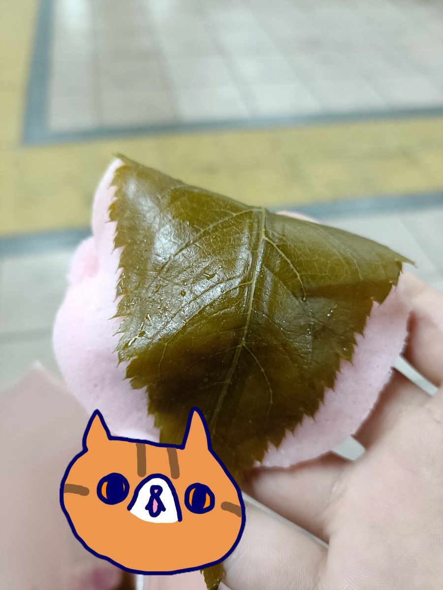 社長から桜餅を頂きましたᴖ ̫ᴖ🌸