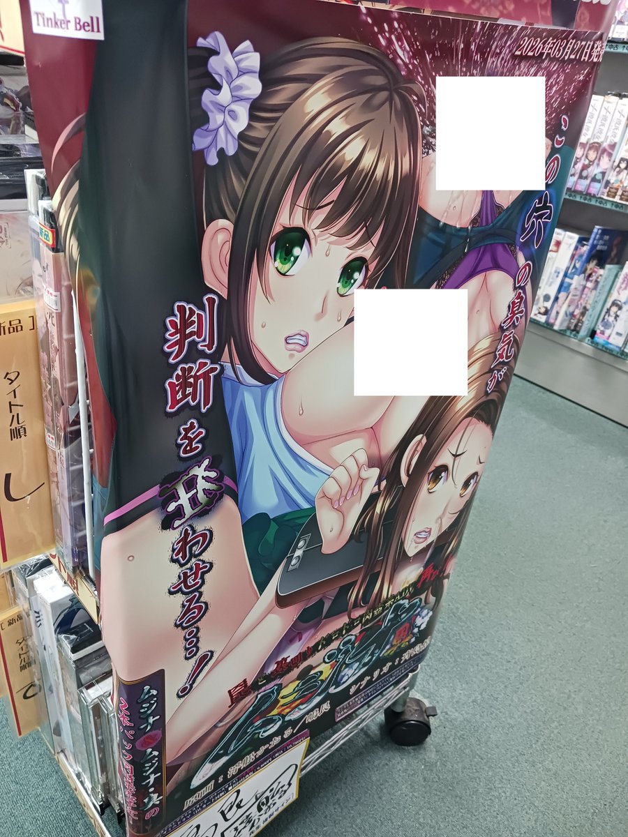 【水曜は定休日】パソコンショップMK札幌狸小路店 tweet media