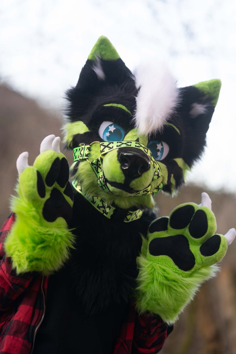 Ferox ✨ 🔜 EAST tweet media