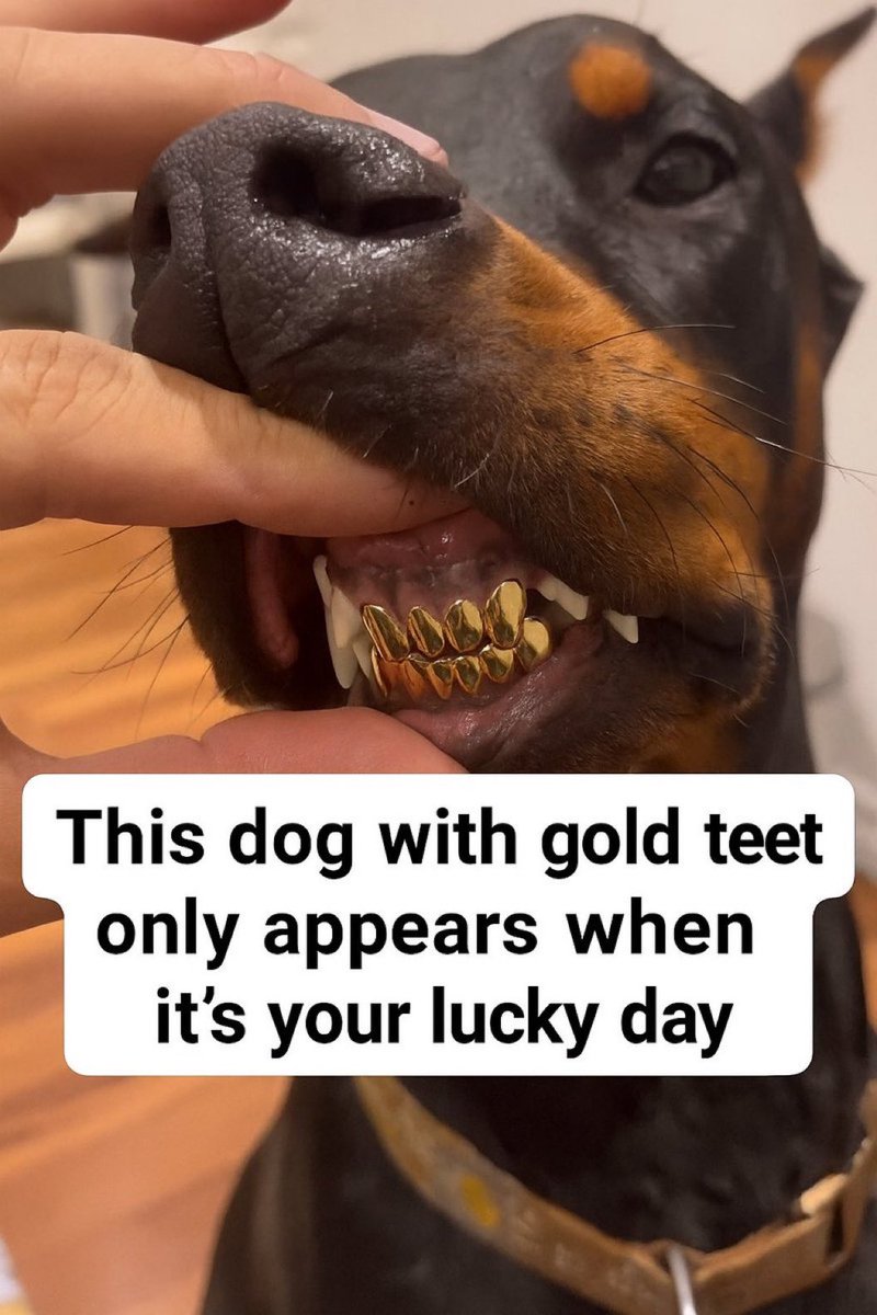 giftlove (@giftlovej) on Twitter photo 