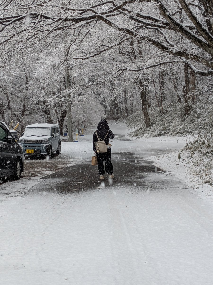 TKW jepang tweet media