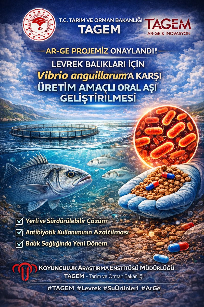 bandirmakaem's tweet image. 📢#ArGe Destek Programı 20. Çağrı Kapsamında;
🐟''#Levrek Balıkları İçin Vibrio anguillarum’a Karşı Üretim Amaçlı Oral #Aşı Geliştirilmesi'' projesi onaylanmıştır!💉
@ibrahimyumakli @AhmetGumen @maatalay
@KerimKILIN4134 @tagemgovtr @TCTarim