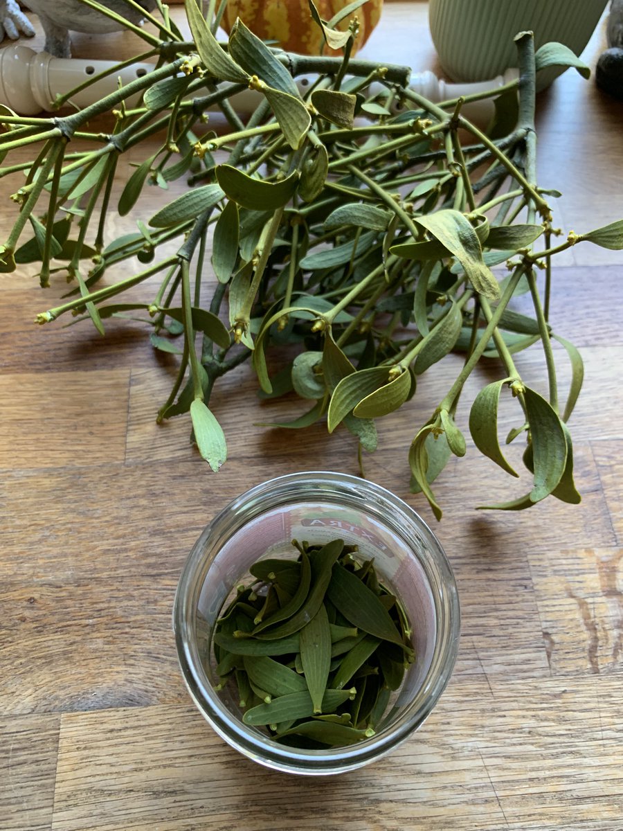 𝐖𝐢𝐧𝐝𝐳𝐞𝐢𝐭 tweet media