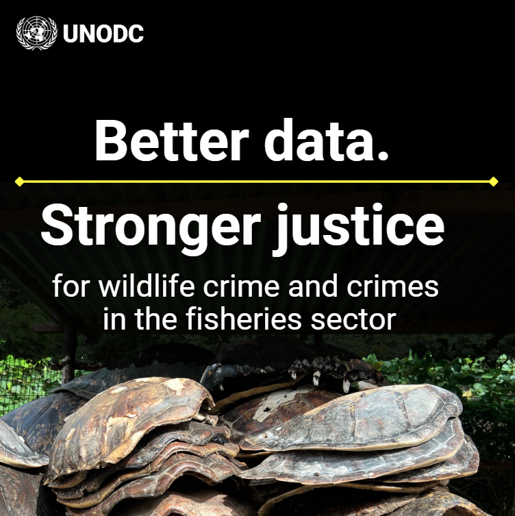 UNODC Environment Team tweet media