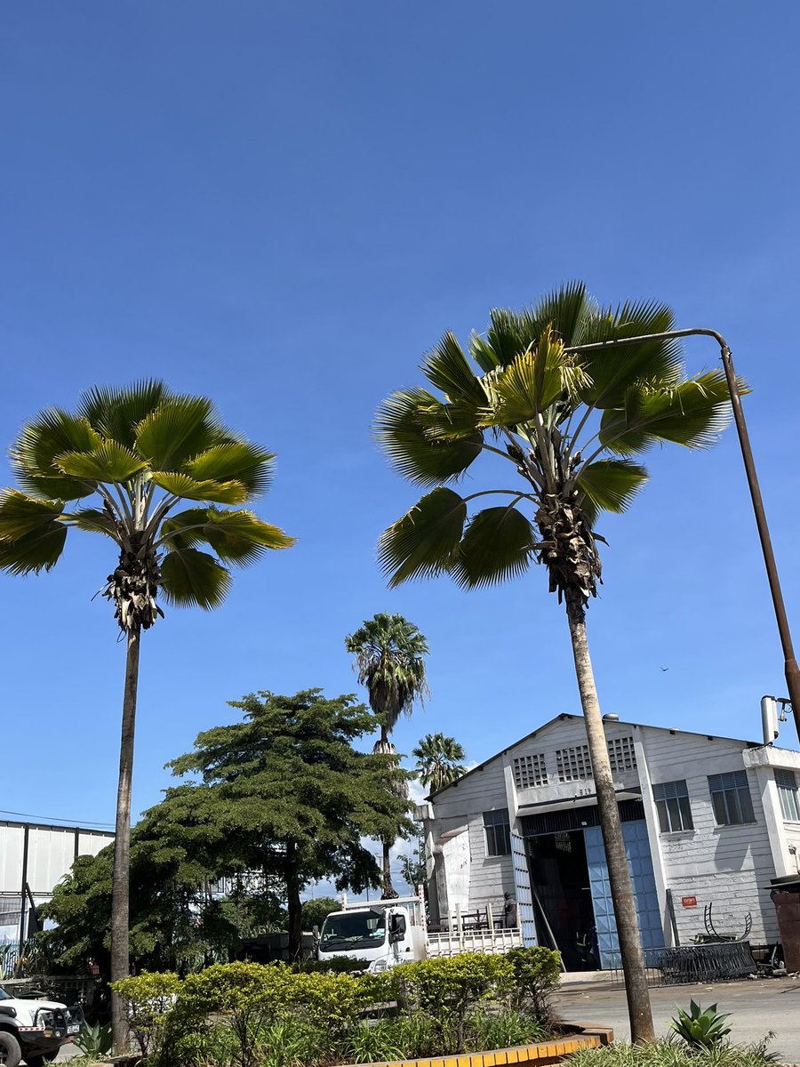 Mtu_kutu💦🍑 tweet media