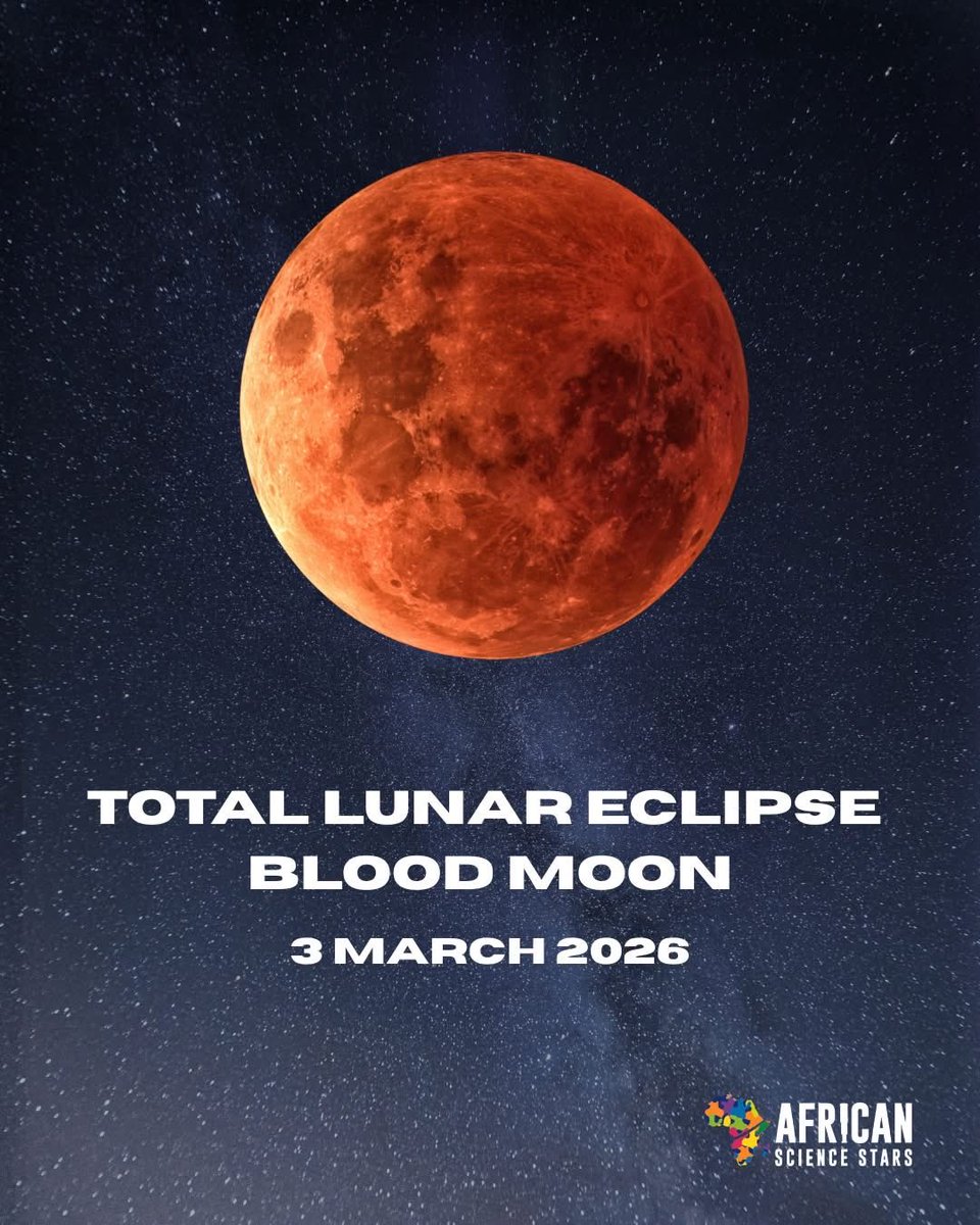 African Science Stars tweet media