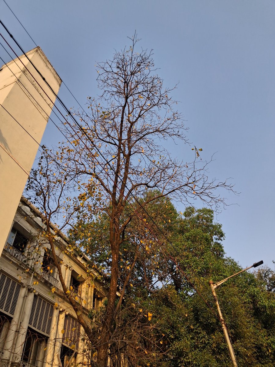 cat valentine 🇵🇸 (@ptylilvixen) on Twitter photo 