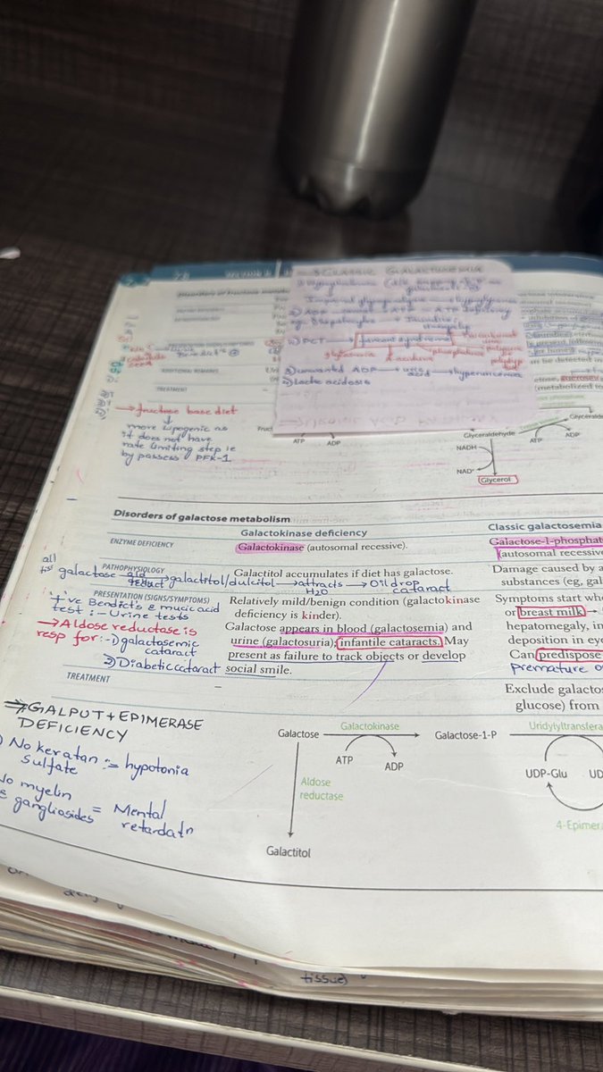 __mona__ tweet media