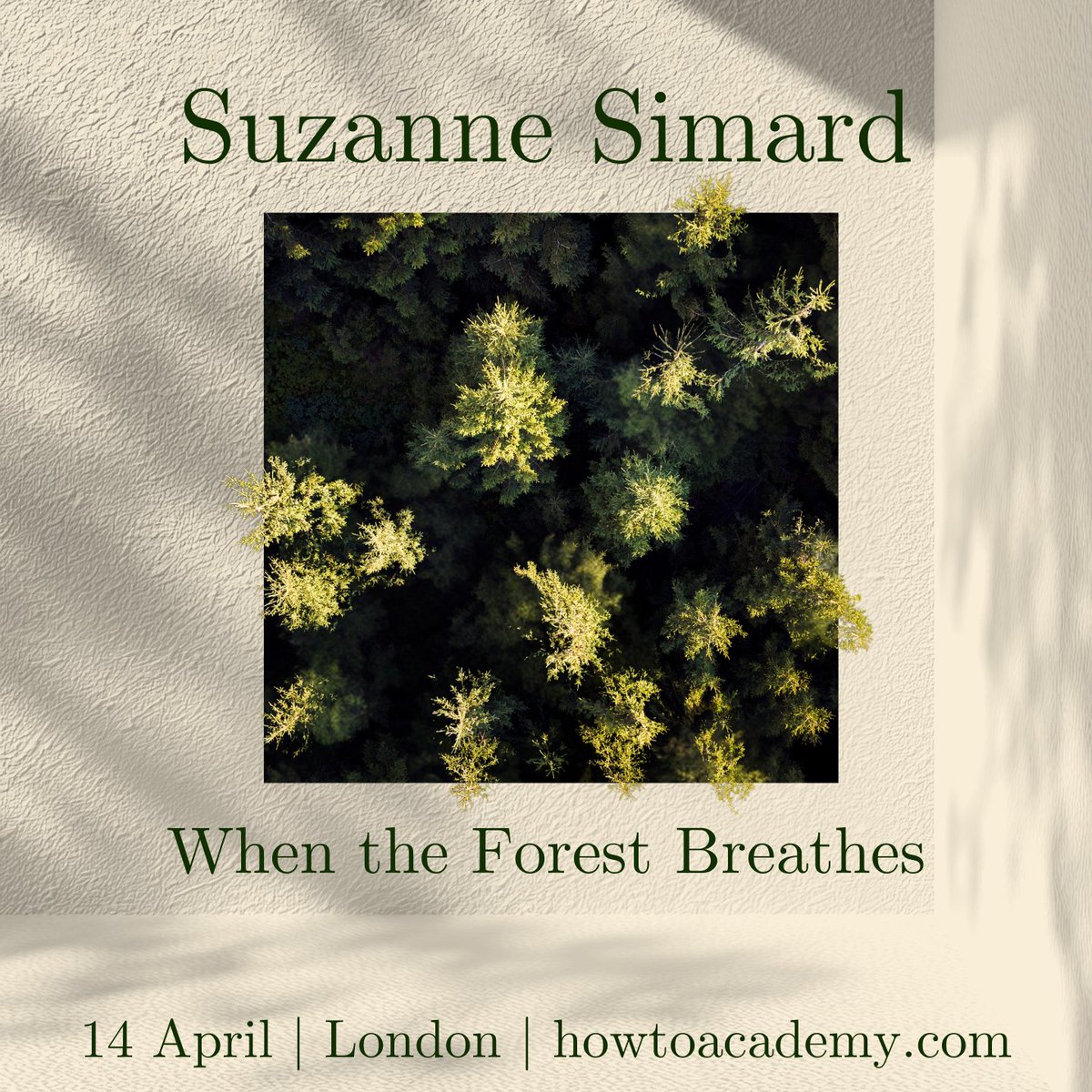 How To Academy tweet media