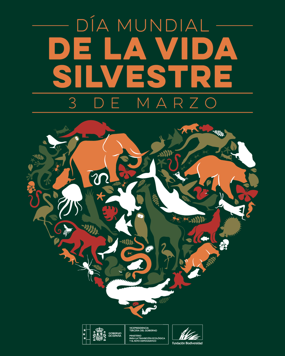🌍 Cerca de 1 millón de las aproximadamente 8 millones de especies estimadas en el planeta están amenazadas de extinción.

La pérdida de biodiversidad avanza a un ritmo sin precedentes y reclama una respuesta urgente 🐾🌱

#DíaMundialDeLaVidaSilvestre