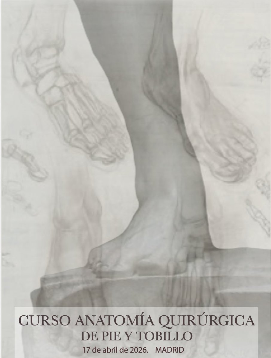 Sociedad Anatómica Española tweet media