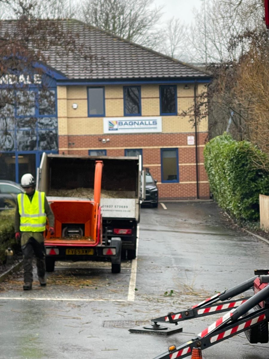 Bardsey Tree Services tweet media