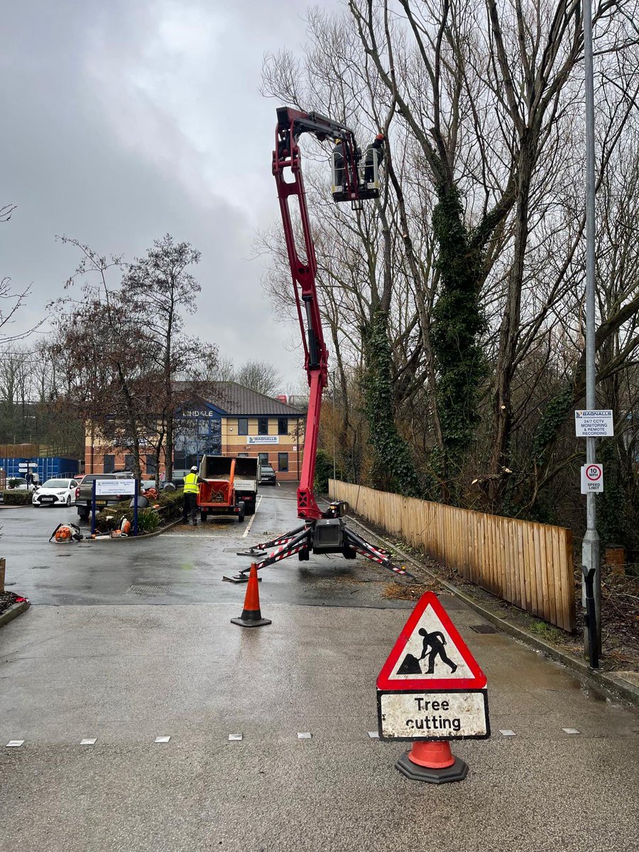 Bardsey Tree Services tweet media