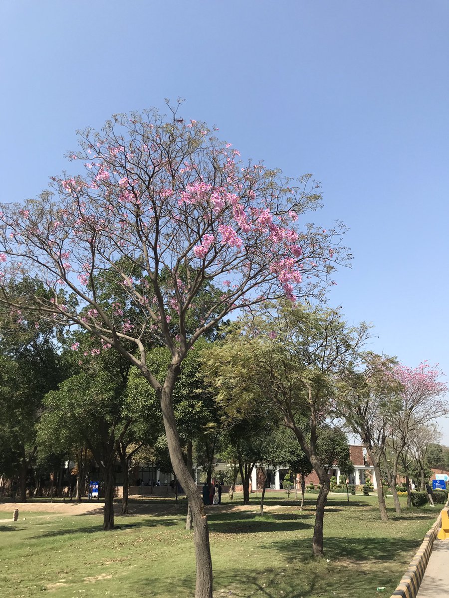 fatima ִ ࣪𖤐 tweet media