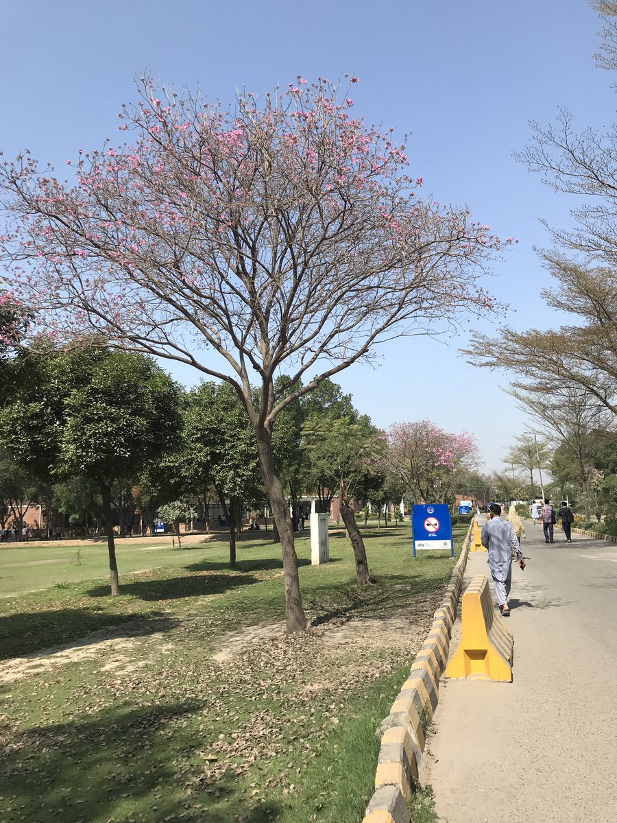 fatima ִ ࣪𖤐 tweet media