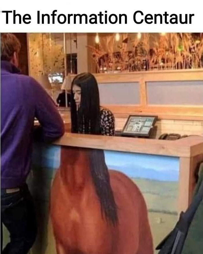 Classical Studies Memes tweet media