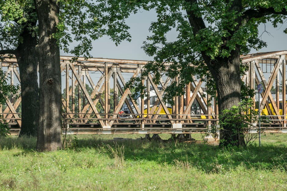 Alexander Jimenez tweet media