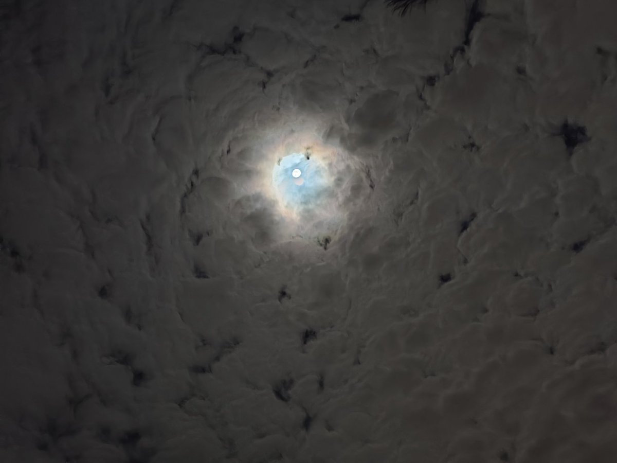 Lazy Nick tweet media