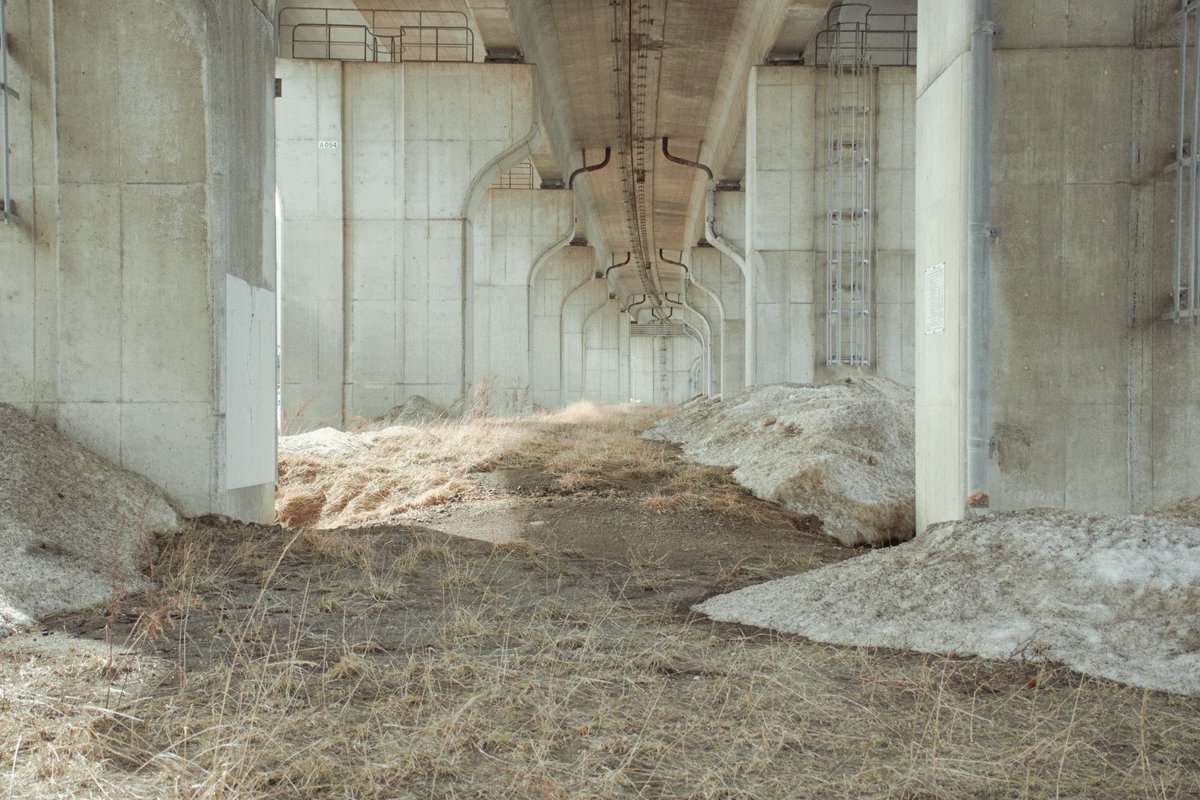 PPC | Punctum Photo Curation tweet media