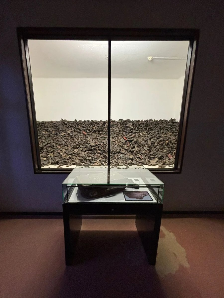 AuschwitzMuseum's tweet photo. 📷 Shoes that belonged to the youngest victims of Auschwitz.

Children at Auschwitz

📖 Lesson: https://t.co/76Qn5Zseha
🎧 Podcast: https://t.co/voBHKfEF7F

---
Photo: https://t.co/7GQooRSbts https://t.co/urrAX5MzFQ