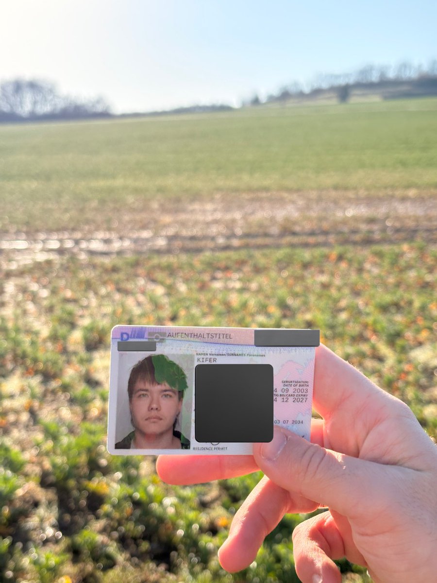 beardless dragon🦎 tweet media