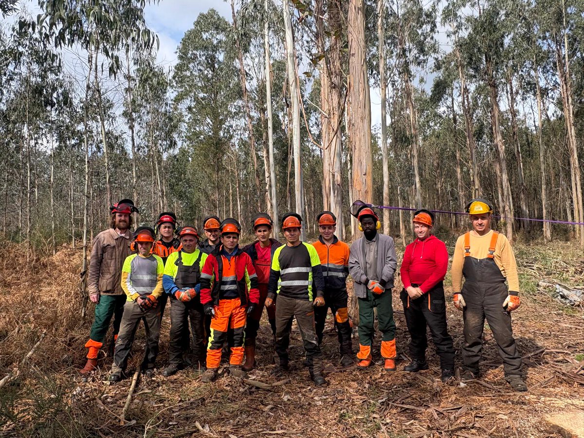 Fearmaga tweet media