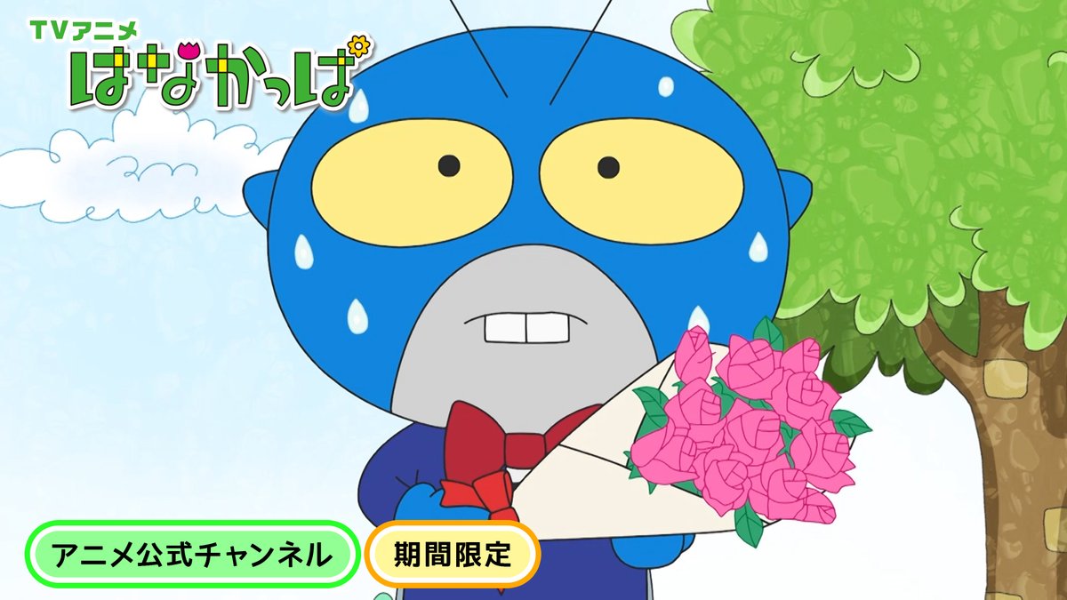 はなかっぱ tweet media