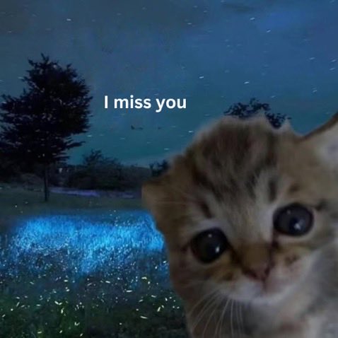 gm cats