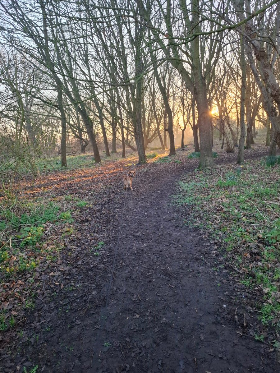 Paul Swallow tweet media