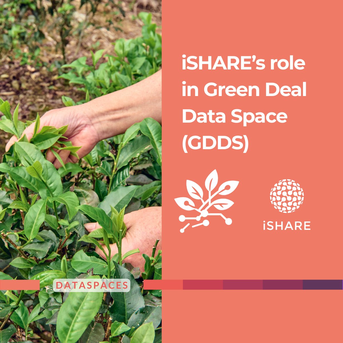 iSHARE Foundation tweet media