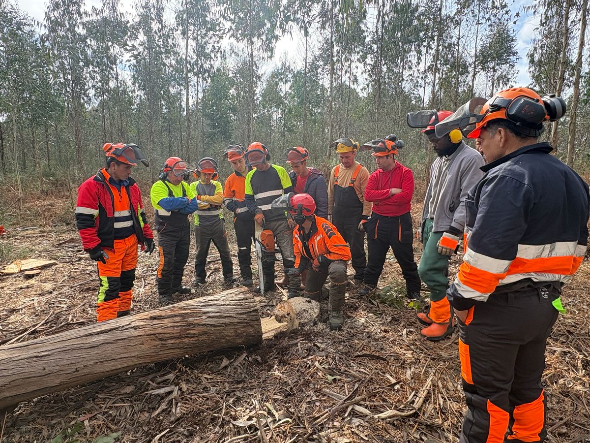 Fearmaga tweet media