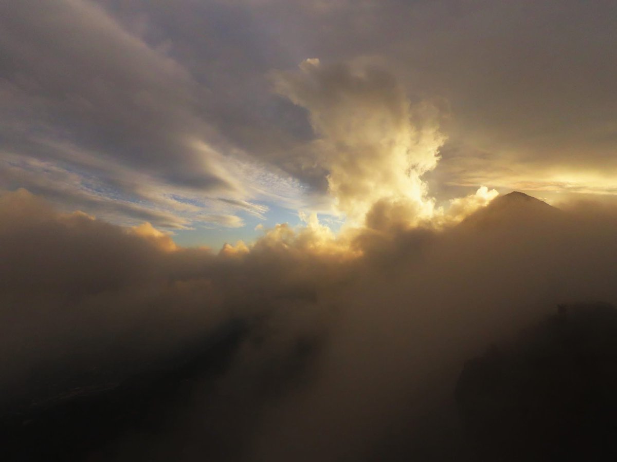 sammasathi tweet media