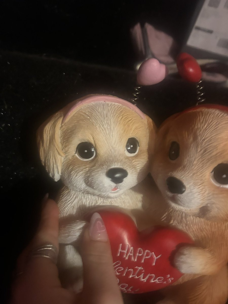 Elaine Strachan tweet media