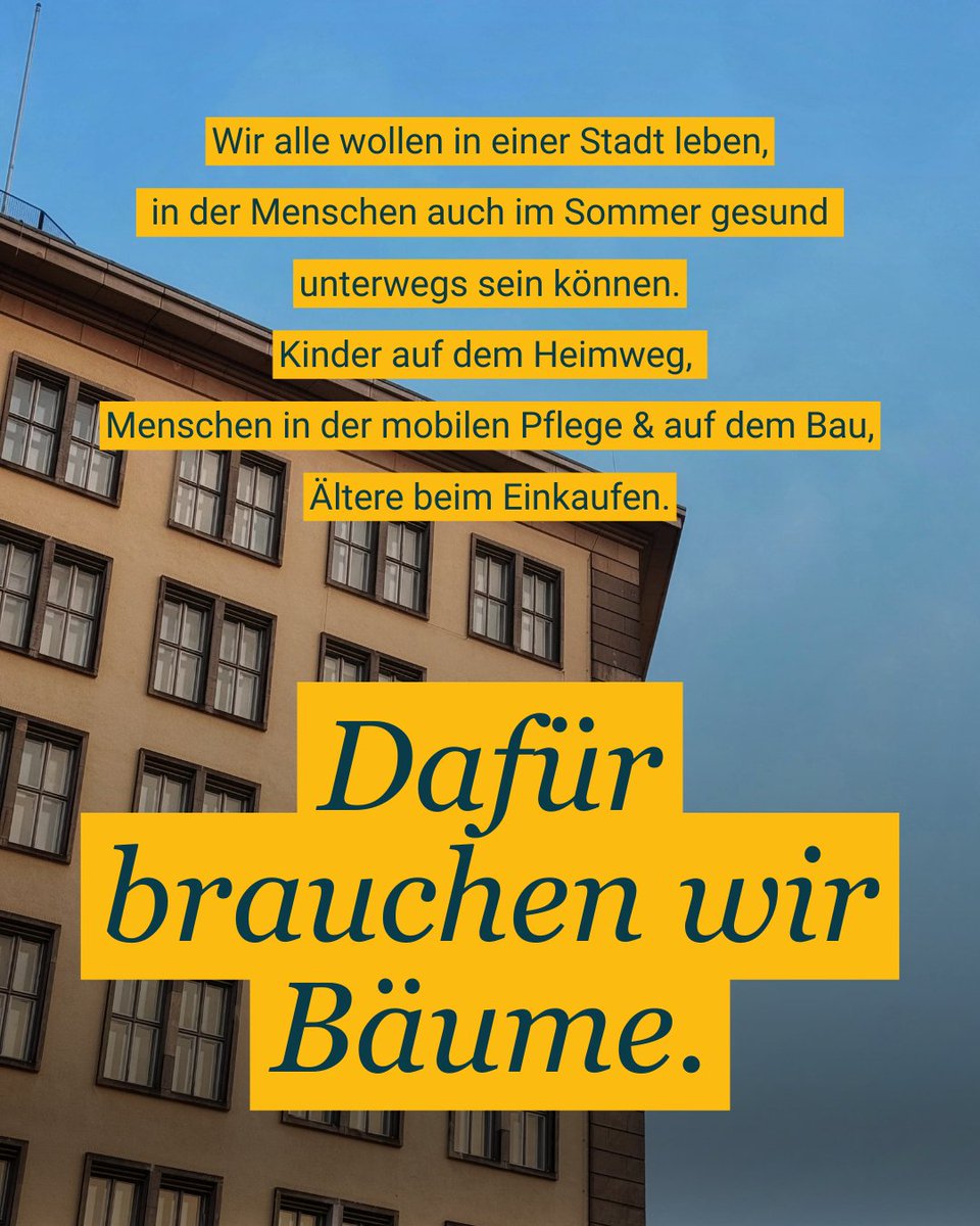 Baumentscheid tweet media