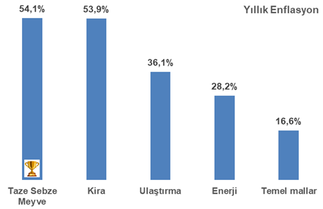 E. Evren Kirikoglu tweet media