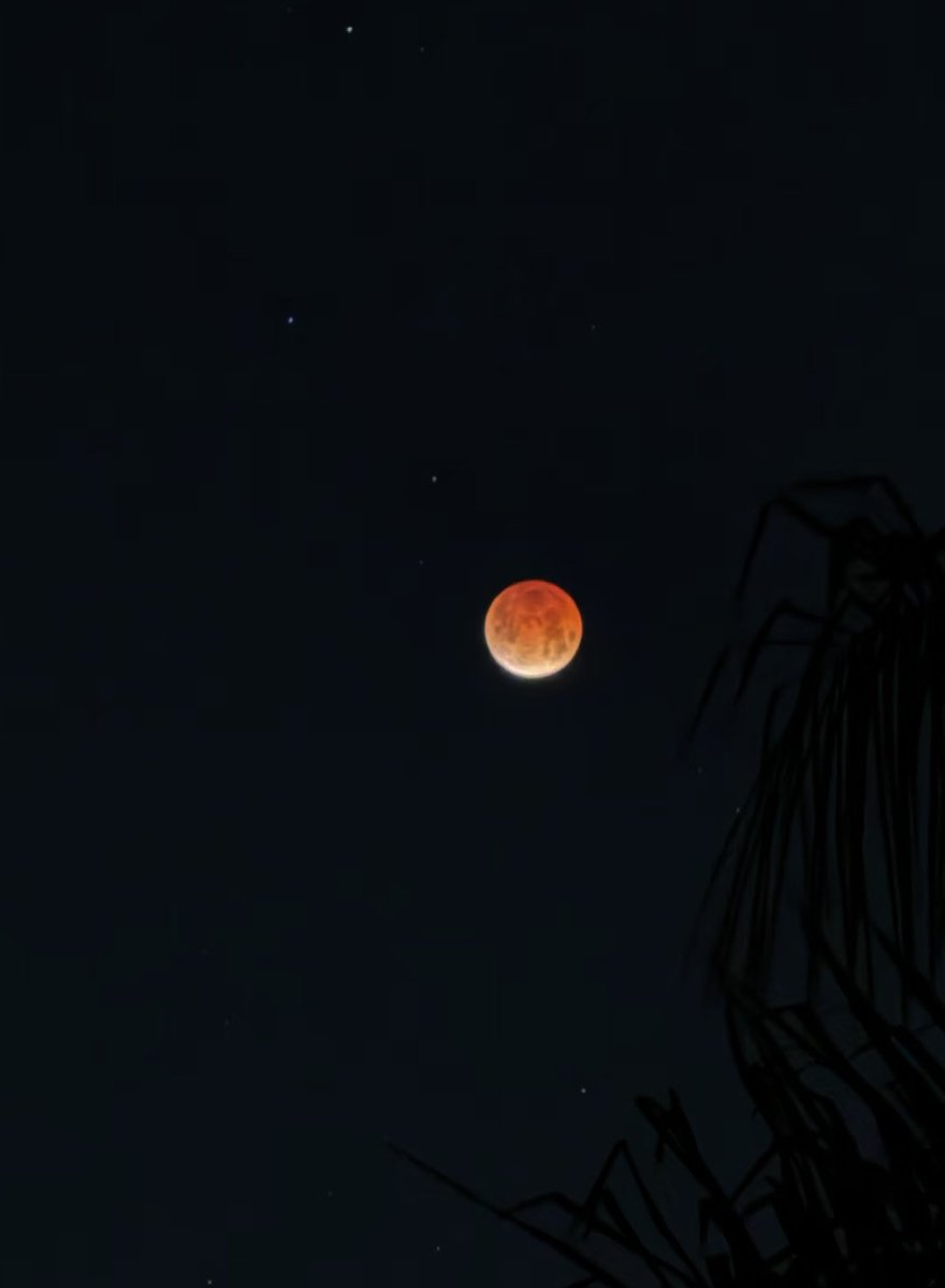 Vera 🍌💕🐒 tweet media