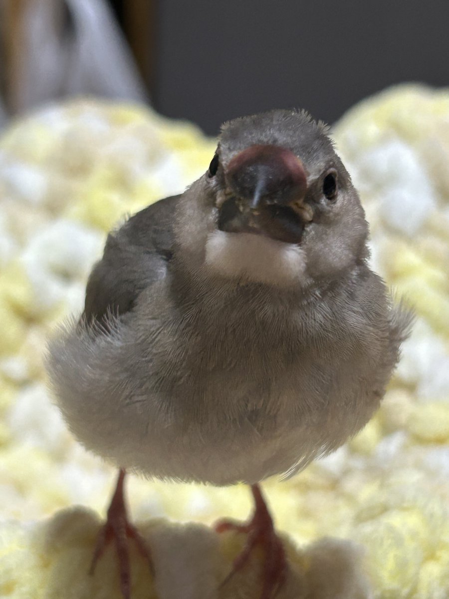 マリモン♥🕊 tweet media