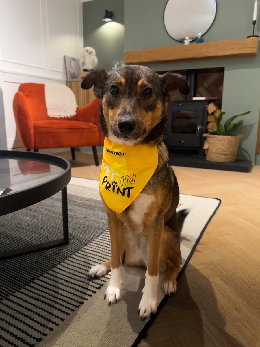 Innotech Digital tweet media