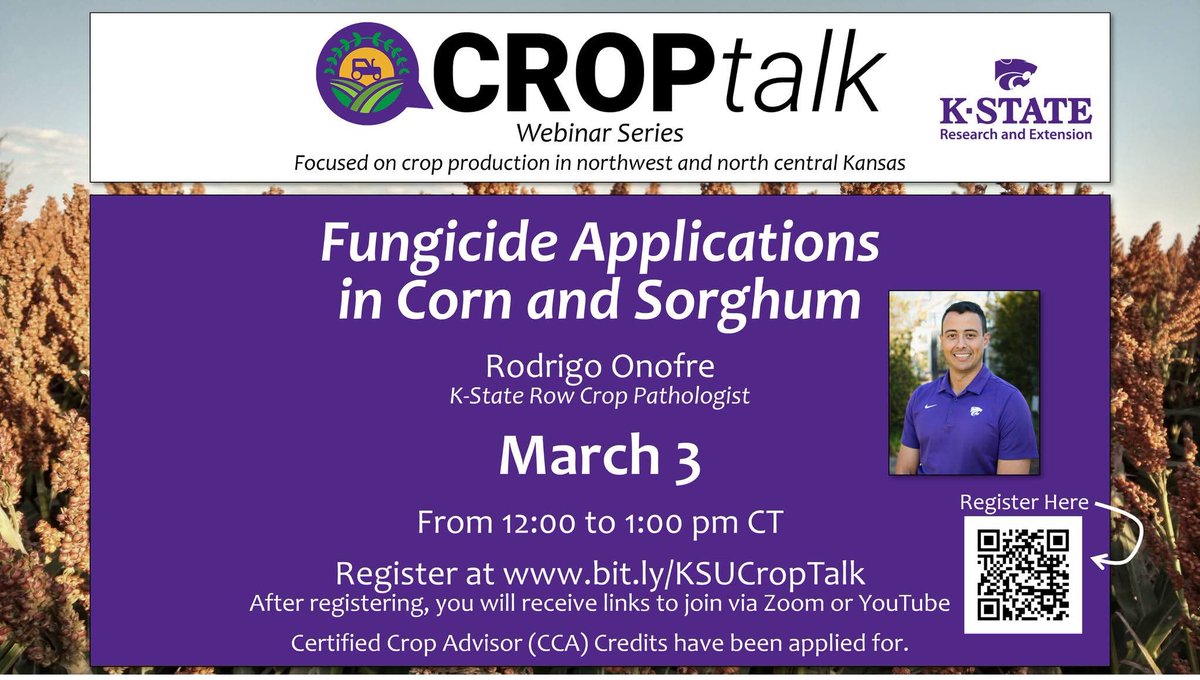 Jeanne Falk Jones tweet media