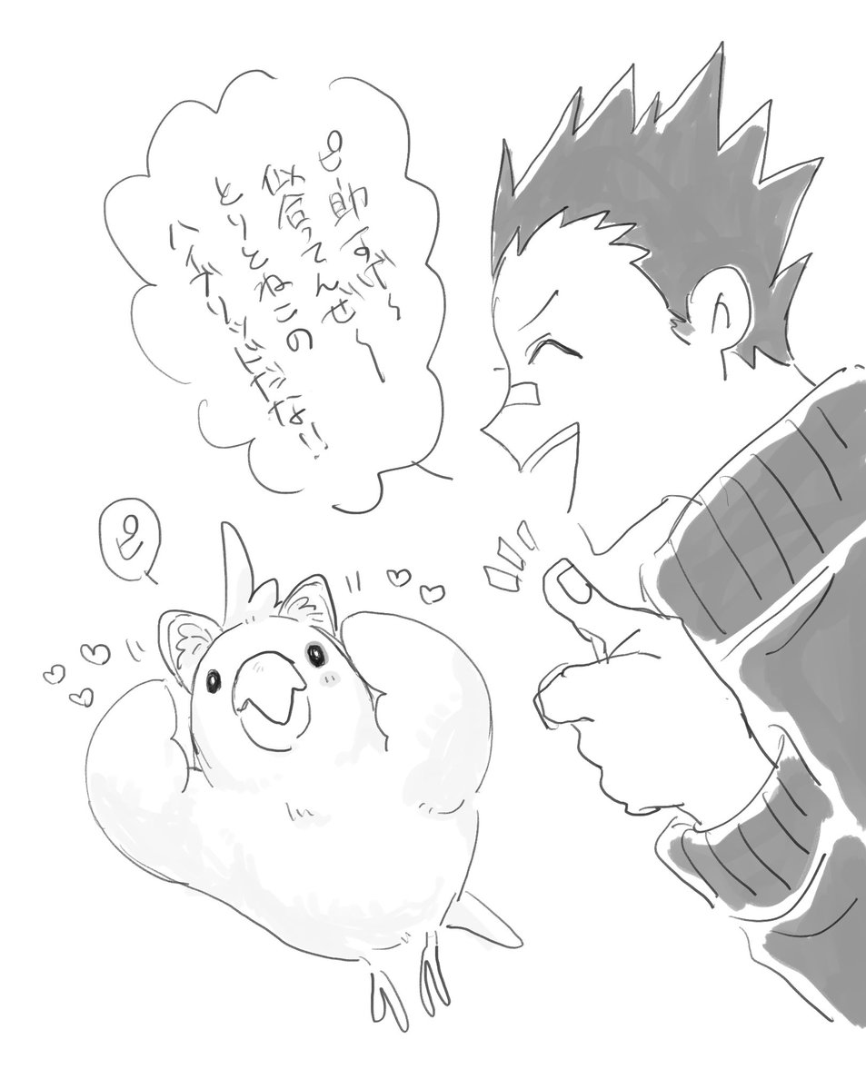 ちみこ (@chimiko80) on Twitter photo 