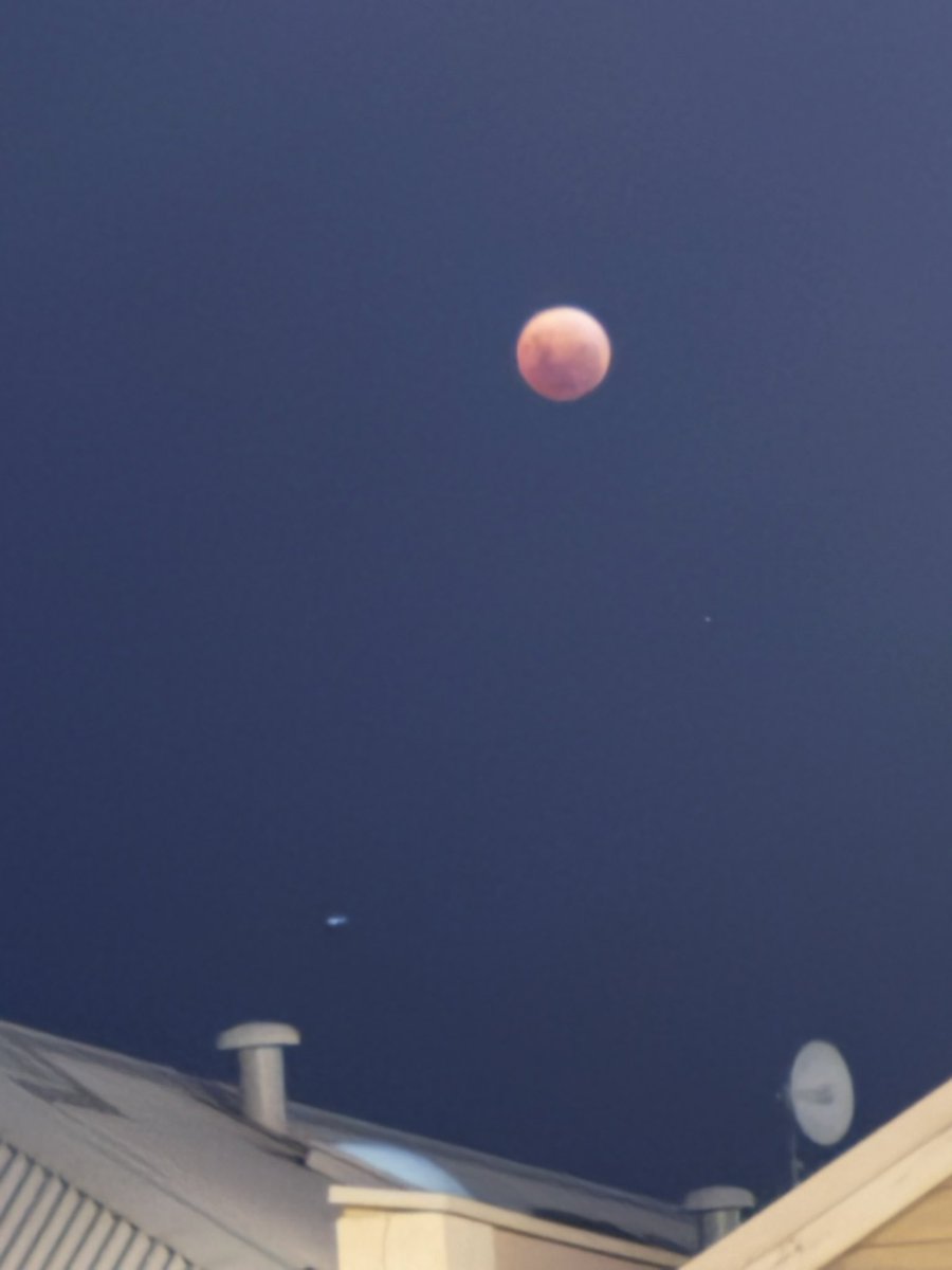acdfoxhollanov's tweet image. not to be a nerd on main but we had a blood moon here tonight and all i have are shitty iphone pics but i still think they look pretty cool!!!