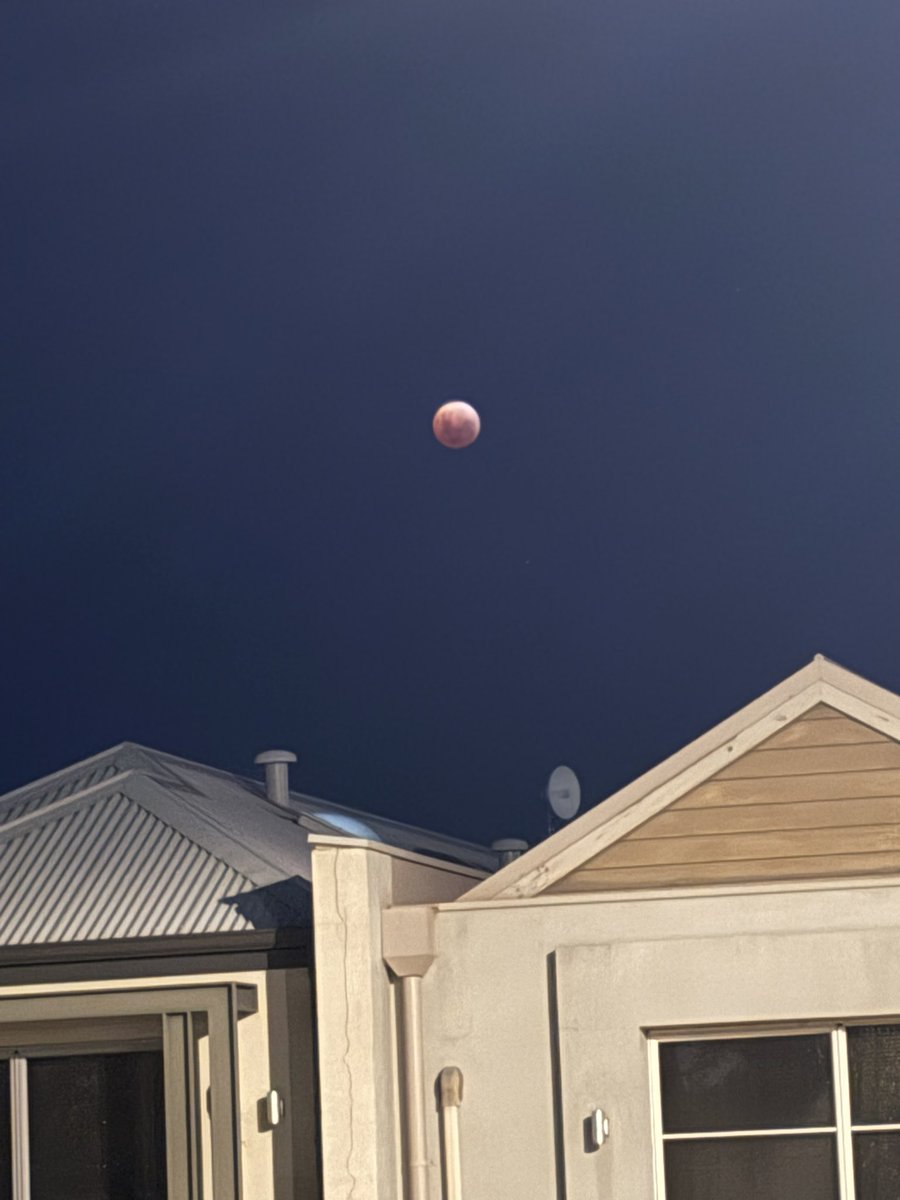 acdfoxhollanov's tweet image. not to be a nerd on main but we had a blood moon here tonight and all i have are shitty iphone pics but i still think they look pretty cool!!!