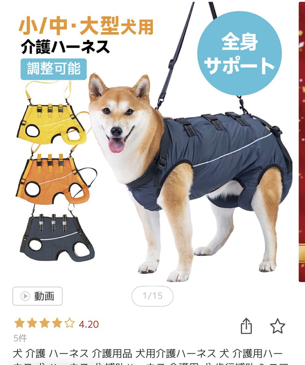 チョビ🐶ひな🐈‍⬛レオ🐈‍⬛ tweet media