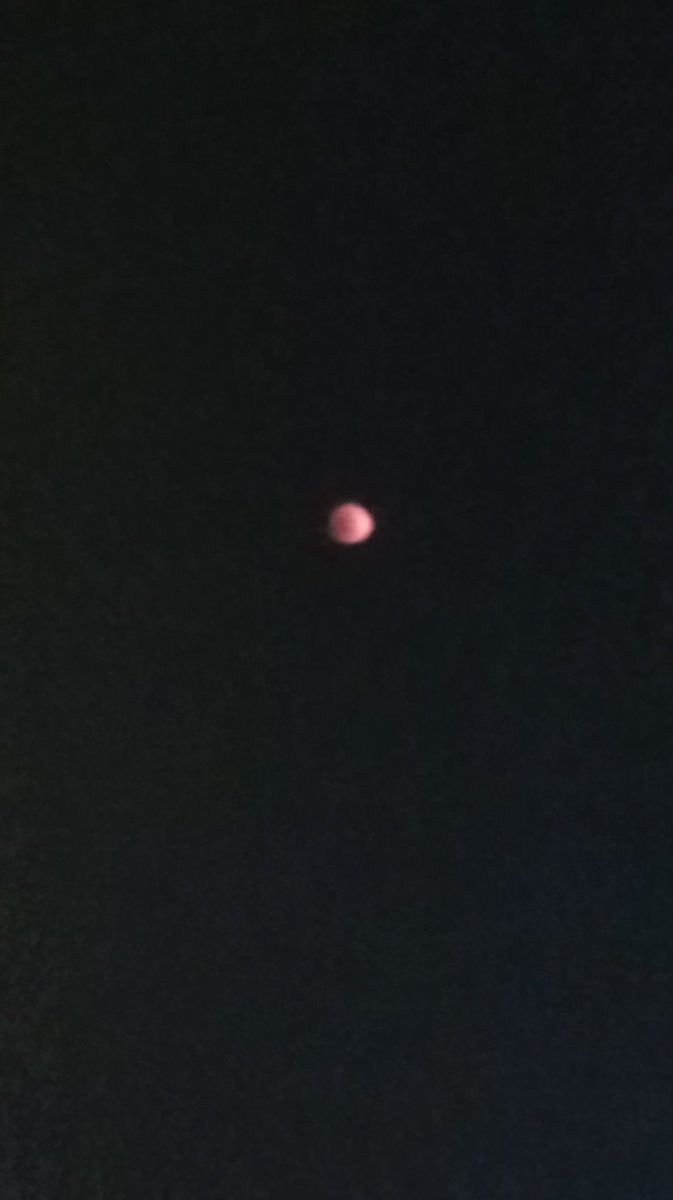 snoweyism's tweet photo. blood moon terraria real? https://t.co/LwDNmGf9Mu